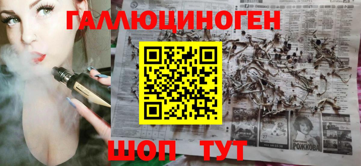 Новосибирск  Псилоцибиновые грибы MAGIC MUSHROOMS  Вход с VPN  Псилоцибиновые грибы мицелий 