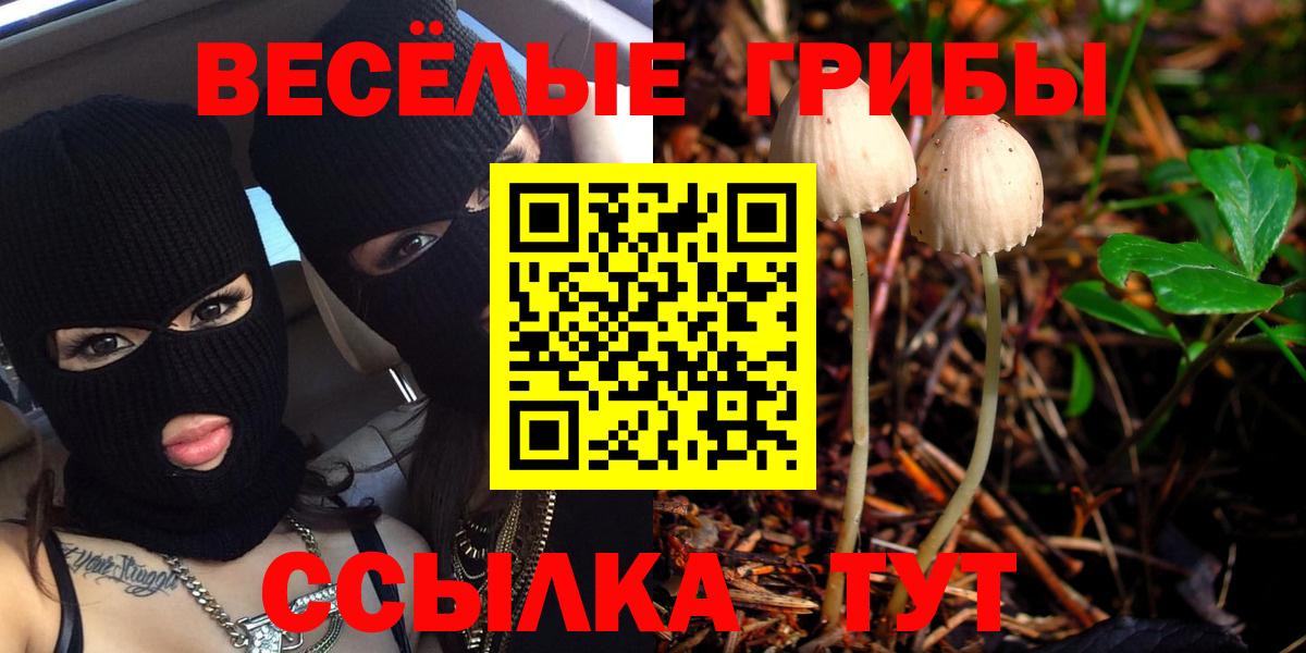 Псилоцибиновые грибы Cubensis Новосибирск